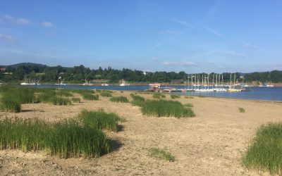 Keine Regatten mehr in 2017