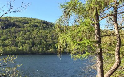 Absage der ersten Veranstaltungen