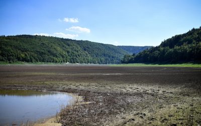 Wassermangel – ZDF berichtet